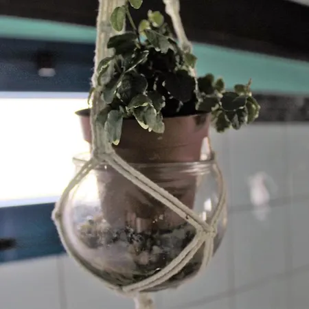 Eco Casa Alma,montana, Campo Y Playa 아파트