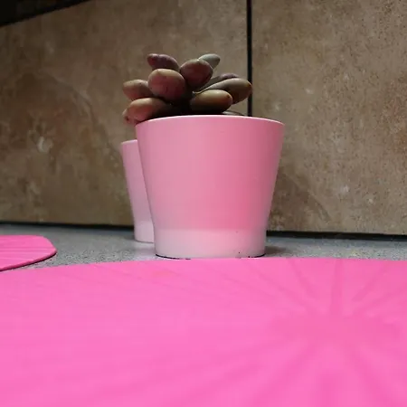 Eco Casa Alma,montana, Campo Y Playa 아파트 Tabayesco