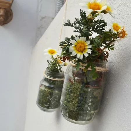 Eco Casa Alma,montana, Campo Y Playa