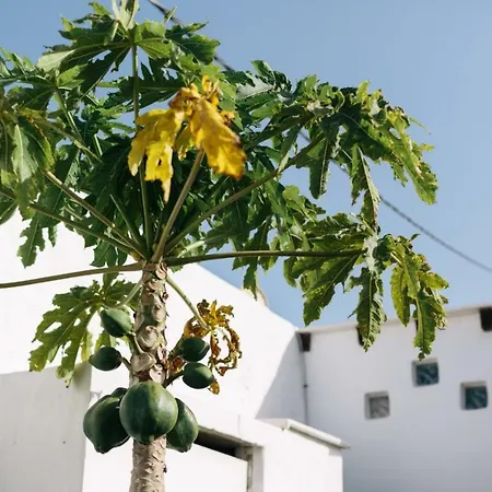 Eco Casa Alma,montana, Campo Y Playa 아파트 *